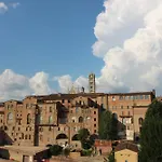 The View